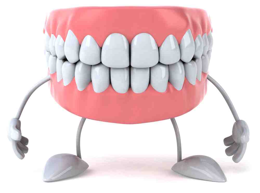 dientes tenemos total? ¿Qué dientes hay en la boca? EDB